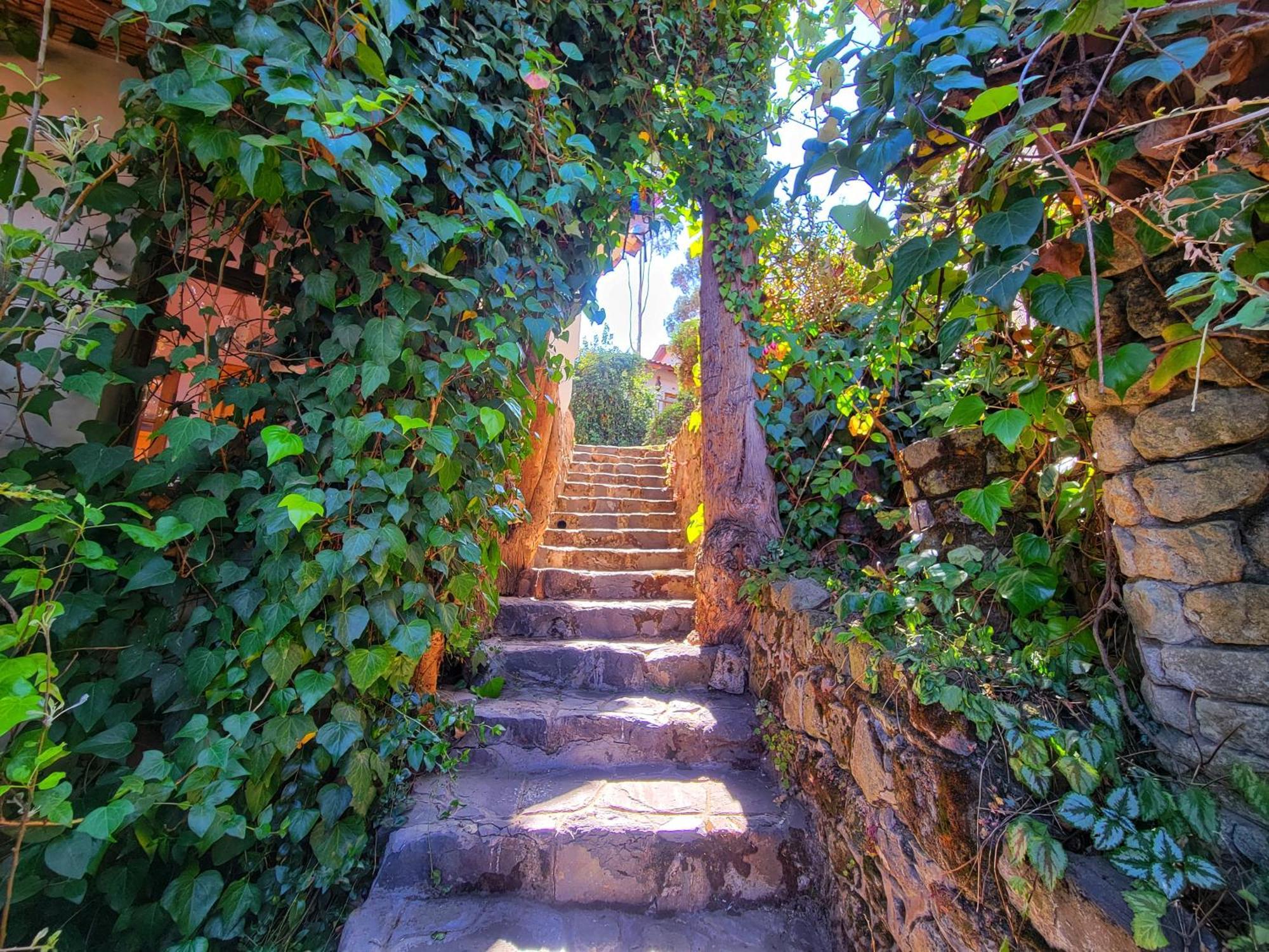 La Casa De Campo クスコ エクステリア 写真